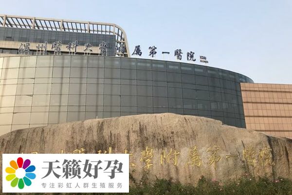 温医一院二代试管检查费用多少
