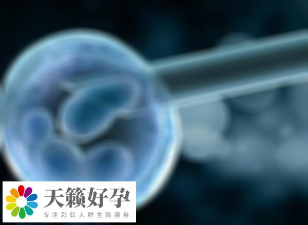 子宫异常会影响试管婴儿成功率