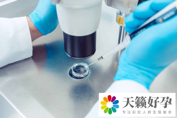 第三代试管婴儿成功率多高
