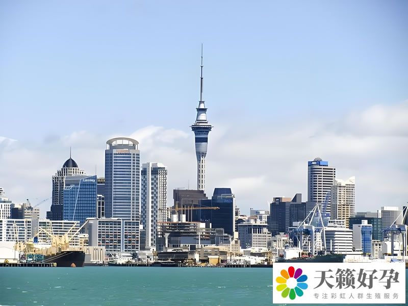 搭建“细胞工厂” 生产“细胞药物”