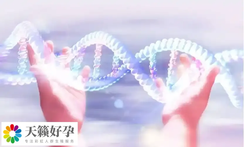 俩个女人做试管采用什么方案?附女同广州三代试管具体收费标准
