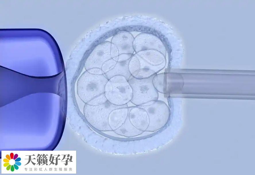 俩个女人做试管采用什么方案?附女同广州三代试管具体收费标准