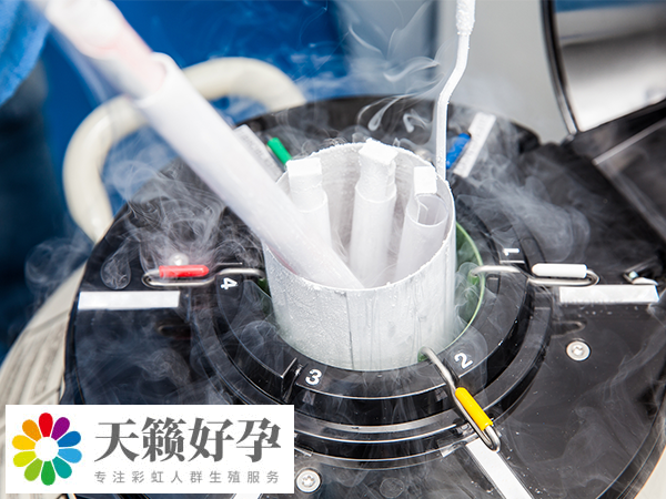 大龄三代和二代试管成功率对比