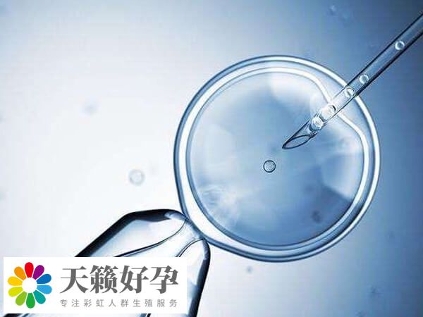 试管治疗尝试次数越多成功率也不一定高