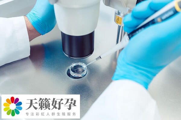 囊胚培养是优胜劣汰的方式