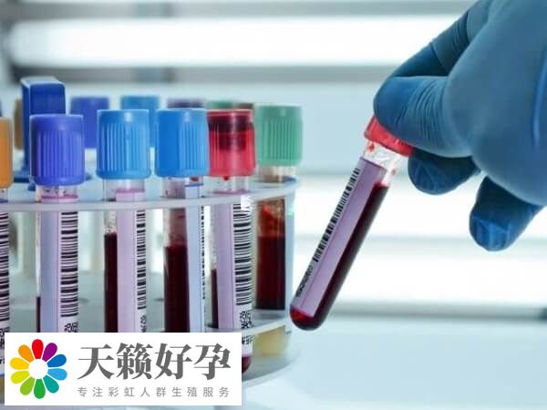 鲜胚移植14天可前往医院抽血验孕