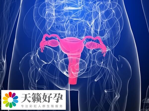 宫腔环境差会影响鲜胚移植着床率