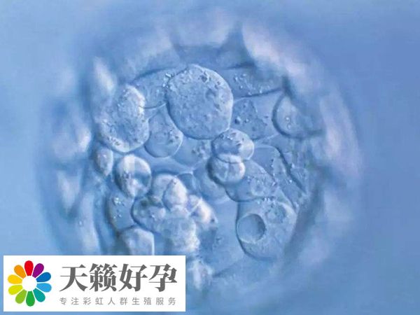 三级鲜胚质量相对较差