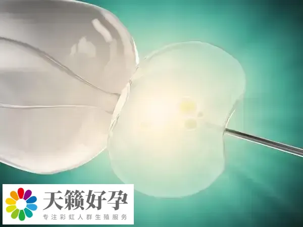 琥珀明胶是一种血液代用品