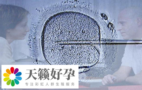 试管婴儿促排卵方案选择，没有月经也能助你好孕