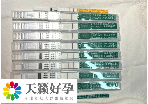 hcg浓度不能判断胎儿性别