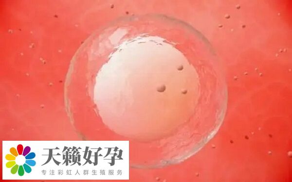 胚胎冷冻是试管治疗中比较常见的治疗手段
