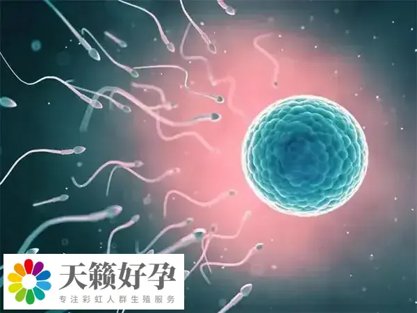 做试管婴儿移植前后要注意避免焦虑
