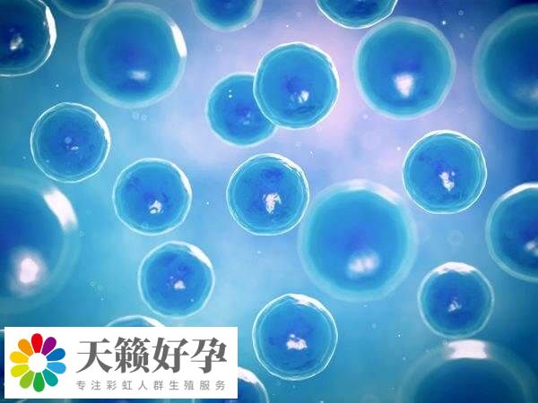 冻卵技术并非适合所有人群