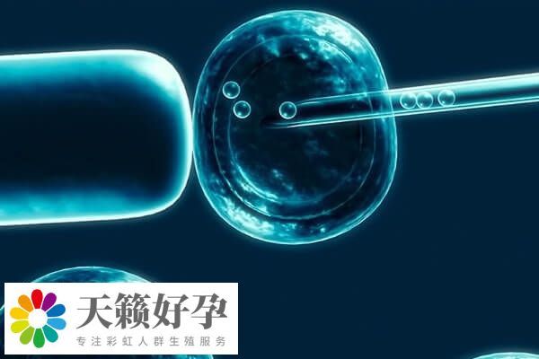 移植后的胚胎是呈现为游离的状态的