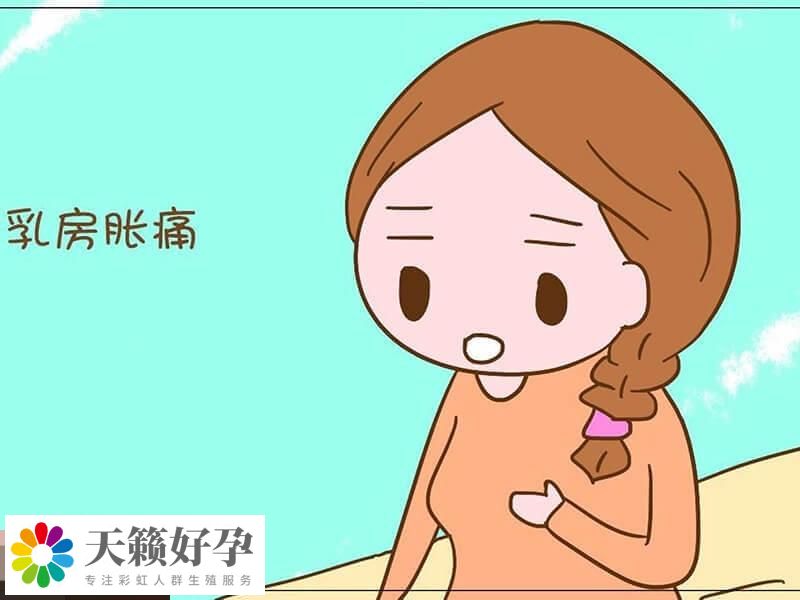 胚胎成功着床会引起胸胀痛
