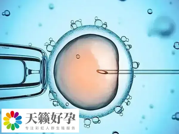 胚胎顺利着床后体内<a href=https://www.nzzt.cn/topic/249.html target=_blank class=infotextkey>黄体酮</a>水平会升高