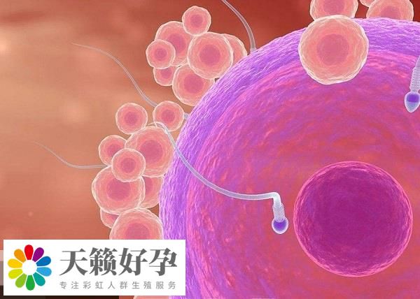 贺美奇有促排的作用