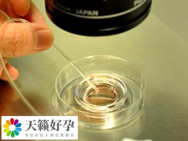 染色体平衡易位是指两个染色体断裂后相互交换位置