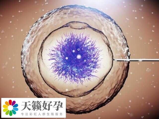 促排后fsh升高会不会是空卵泡