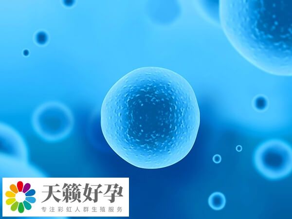 国内可以实施试管婴儿助孕的机构很多