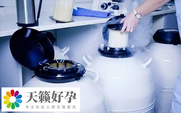 不同国家冻卵的条件有所不同