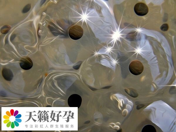 四代试管婴儿技术又称卵胞质置换技术GVT