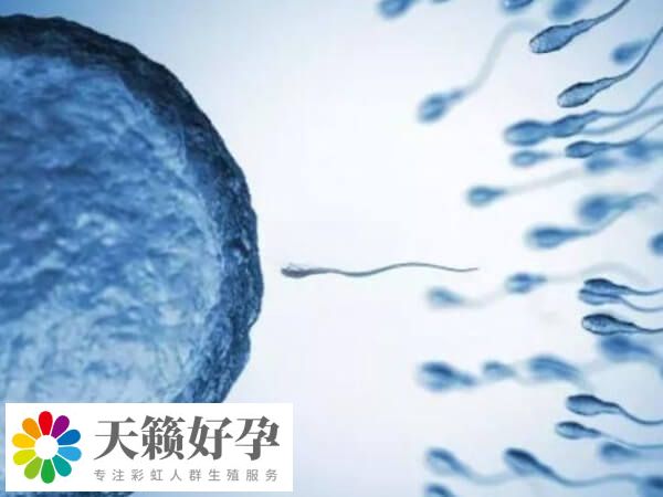 GVT技术在国内并未批准应用