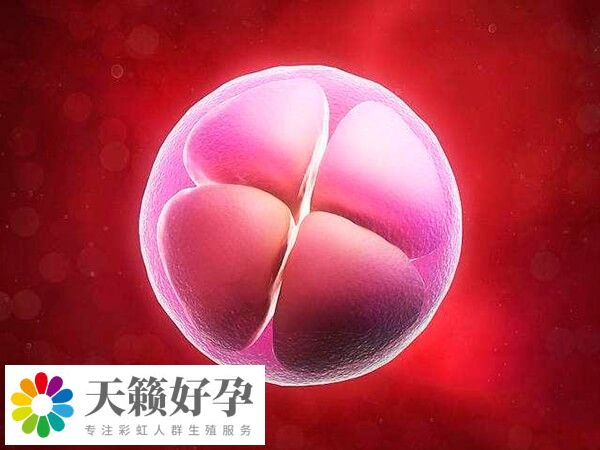 Les群体其实就是指女同性恋