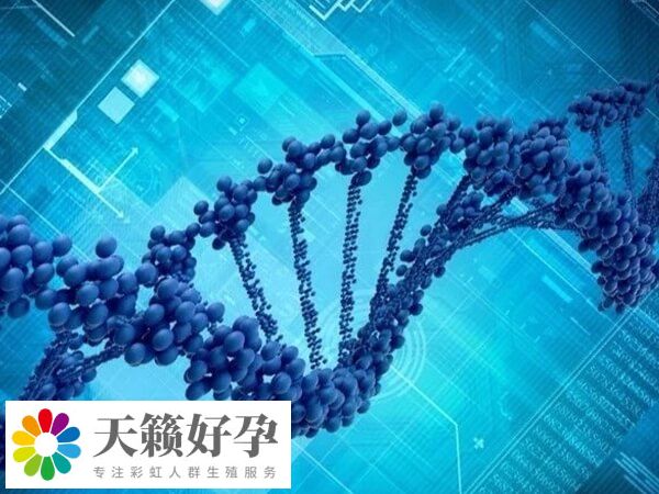 美国第三代试管可合法选择孩子性别