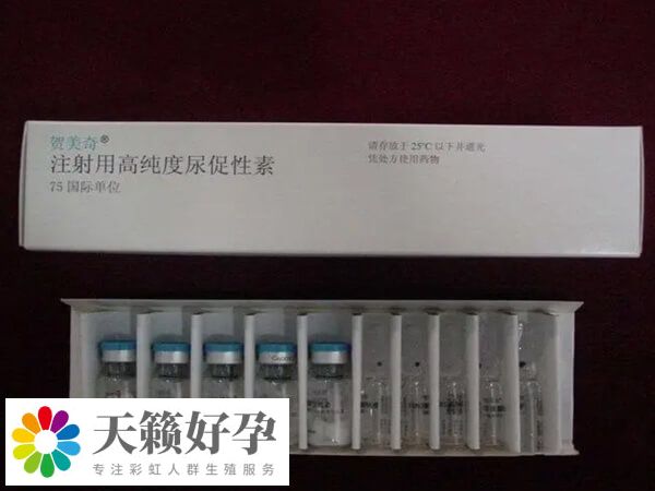 高纯度尿促性素又叫贺美奇