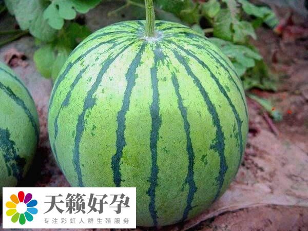 消化不良的宝宝不宜吃西瓜