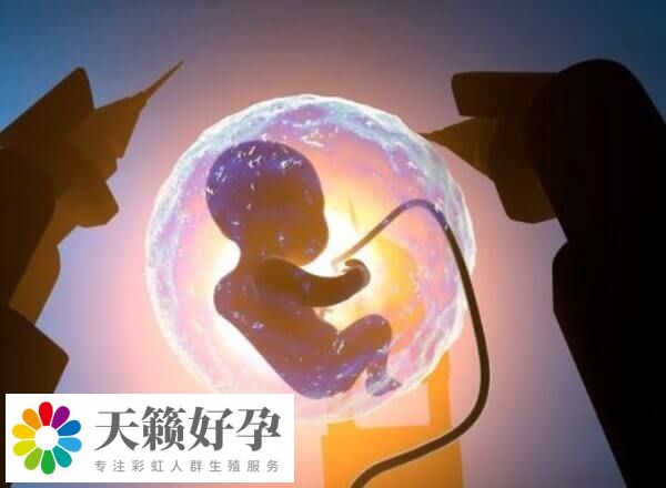 t卵p怀在国内不能做