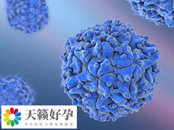 骨髓生育技术目前不存在