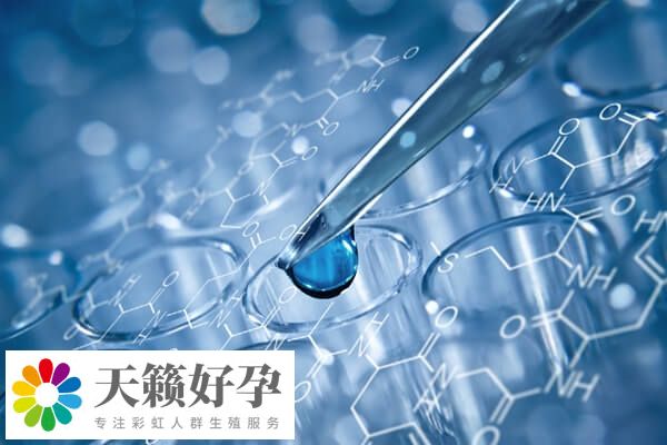 融合胚胎是发育第四天的胚胎
