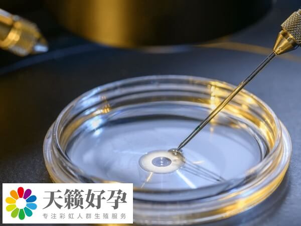 三代试管技术中的PGT是其中一项重要的技术