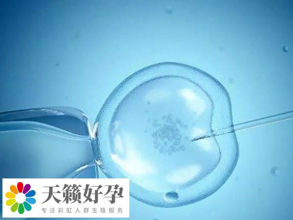 PGT-M主要用于检测胚胎是否存在单基因病