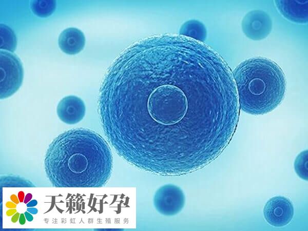 糖尿病人做试管婴儿费用与其他患者基本一致