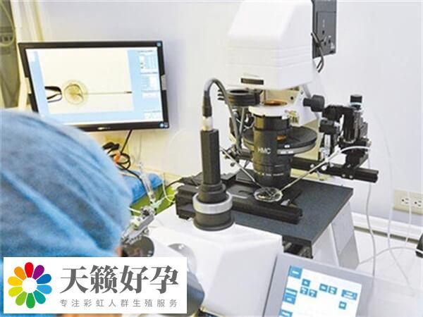 泰国做试管婴儿基础成功率稳定在60%-70%