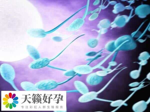 年龄是影响试管成功率的重要因素之一