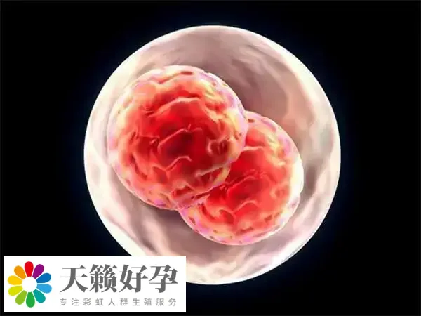 多胎妊娠有风险
