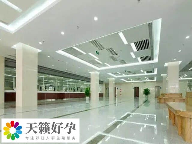 试管能移植两个怀双胞胎