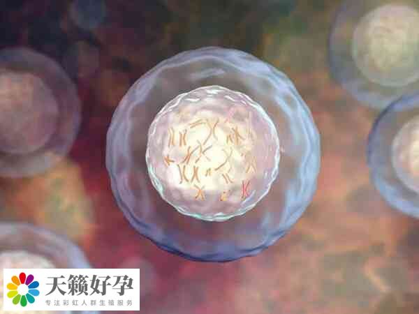 高龄做试管移植要保持良好的心态