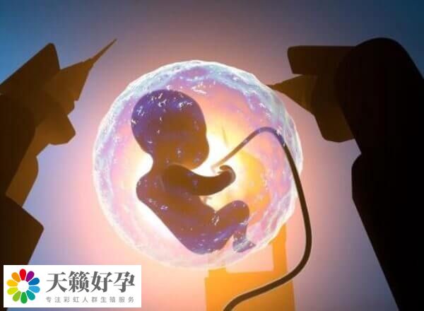 t卵p怀在国内不能做