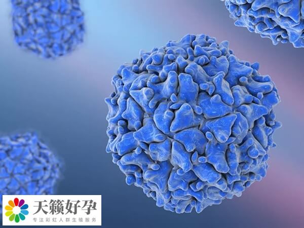 骨髓生育技术目前不存在