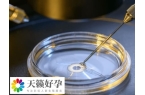 三代试管PGT有几种结果